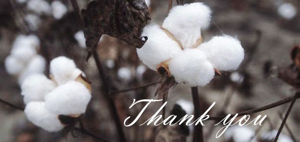cotton-thanks